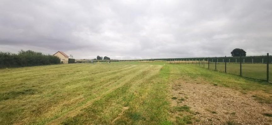 25841939_3_print